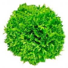 ALFACE FRISEE MAÇO.