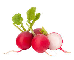 RABANETE PCTE APROX. 650GR