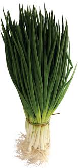 CEBOLINHA INDUSTRIAL