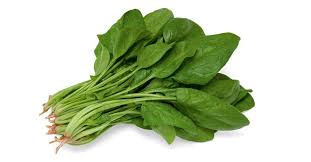 ESPINAFRE JAPONES HORENSO