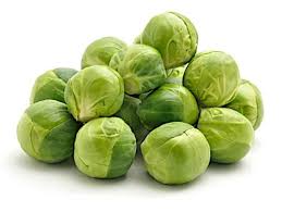 COUVE DE BRUXELAS PCTE