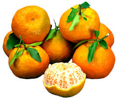 MEXIRICA PONKAM 1 UNID. APROX. 240GR.