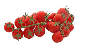 TOMATE COQUETEL  BANDEJA