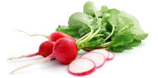 RABANETE RODELA HIG. 200G