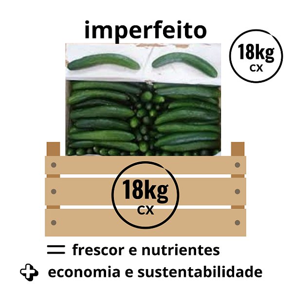 PEPINO CONSERVA TORTO