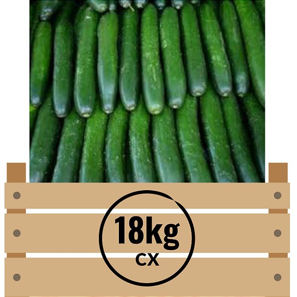 PEPINO CONSERVA A3 LOJA