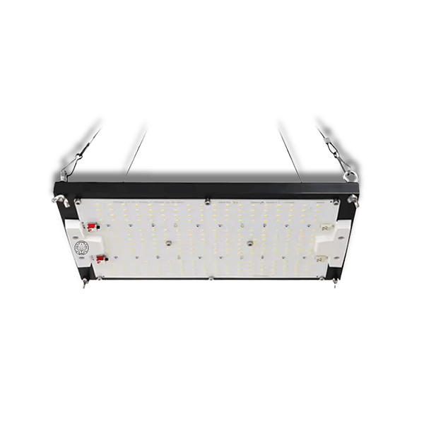 PAINEL DE LED CULTIVANDO SUSTENTO 120 WATTS c SAMSUNG LM281B