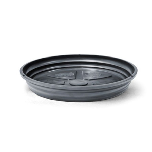 PRATO PRETO PARA VASO DE VIOLETA -