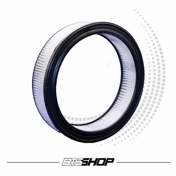 Elemento do Filtro de Ar Original Bosch Ford V8 302