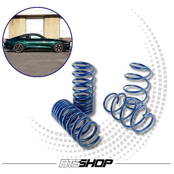 Molas Esportivas Ford Performance Ford Mustang GT/Mach 1/ Dark Horse 2018-2026