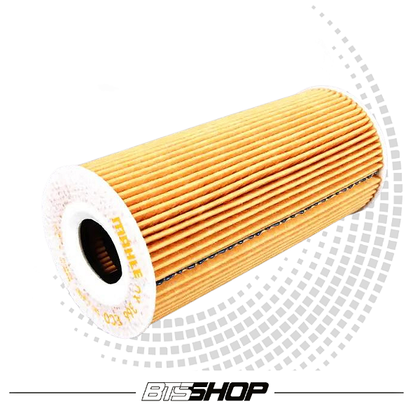 Filtro De Óleo Porsche Boxster-Cayman 09-16