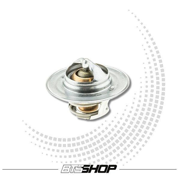 Válvula Termostática para Ford V8 302 (Mustang 1965-1995/Maverick/Landau) 180ºF