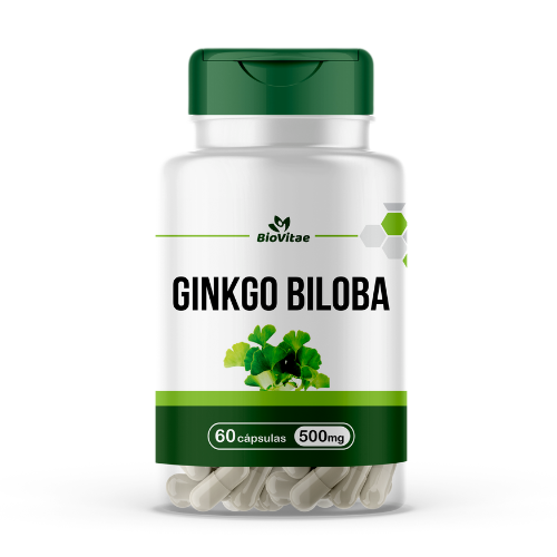 GINGKO BILOBA 500MG