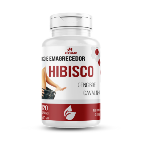 HIBISCO COM CAVALINHA E GENGIBRE 500mg
