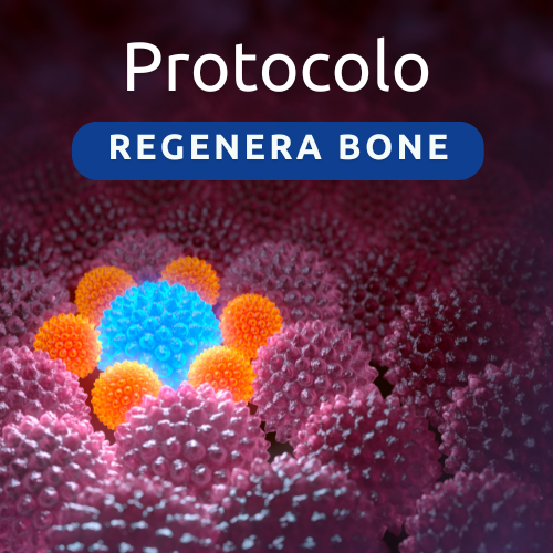 Protocolo Regenera Bone