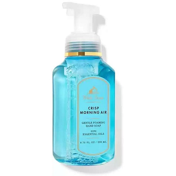 CRISP MORNING AIR -  Sabonete de mãos em Espuma - 259ml