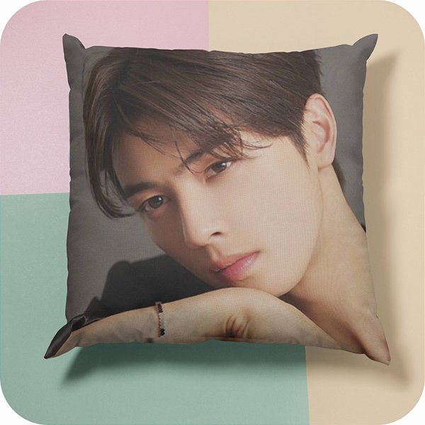 CAPA DE ALMOFADA CHA EUN-WOO