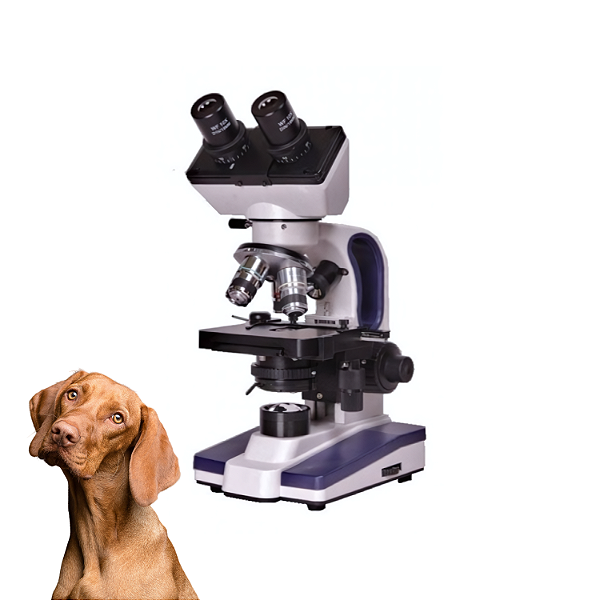 Microscópio Biológico Binocular até 1000X - P11