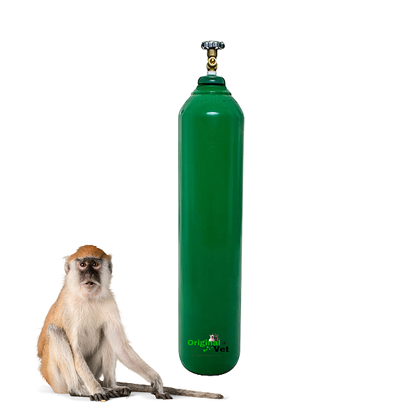 CILINDRO DE OXIGÊNIO - 16 LITROS COMPLETO