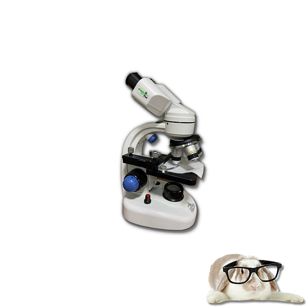 MICROSCÓPIO BIOLÓGICO BINOCULAR - P215