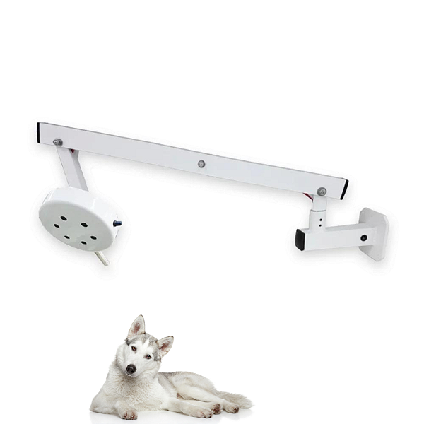 FOCO DE 6 LEDS PARA PROCEDIMENTOS