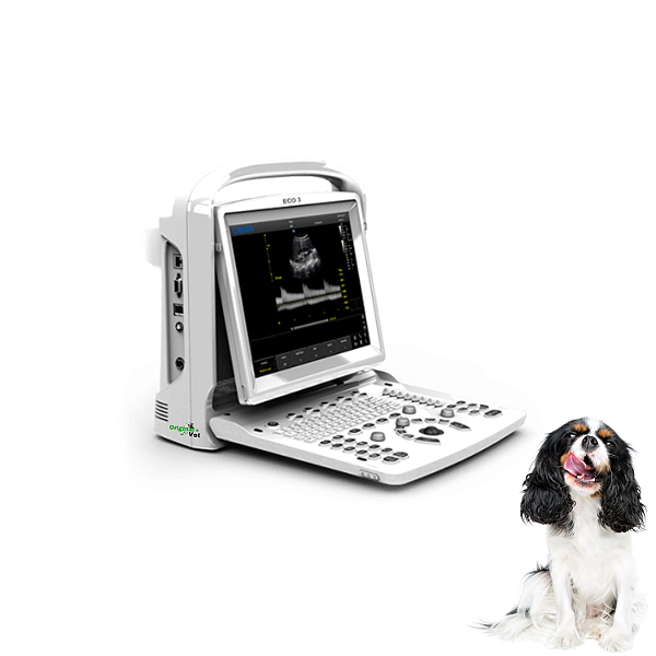 Ultrassom ECO 3 VET Expert (Com um Transdutor)