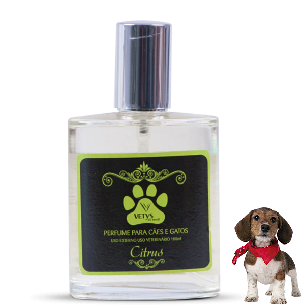 Perfume Premium Citrus - Vetys