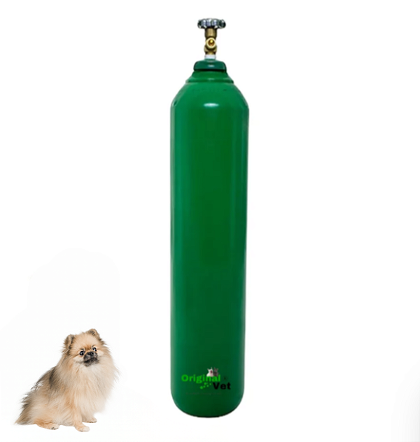 CILINDRO DE OXIGÊNIO - 20L