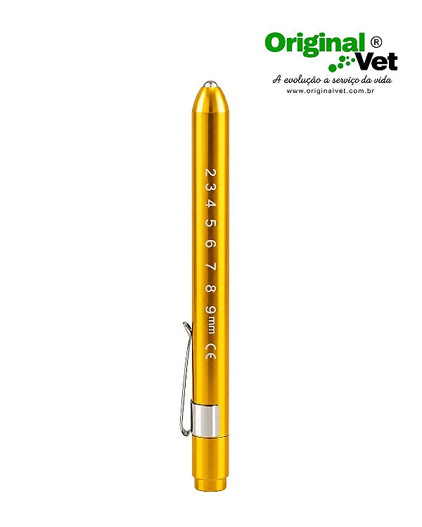 Lanterna Missouri Led - Dourada