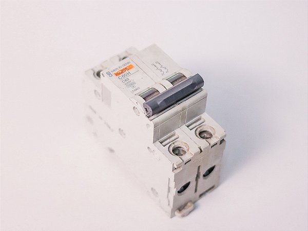 Disjuntor bipolar 63A C60H 24993 Schneider Electric Usado