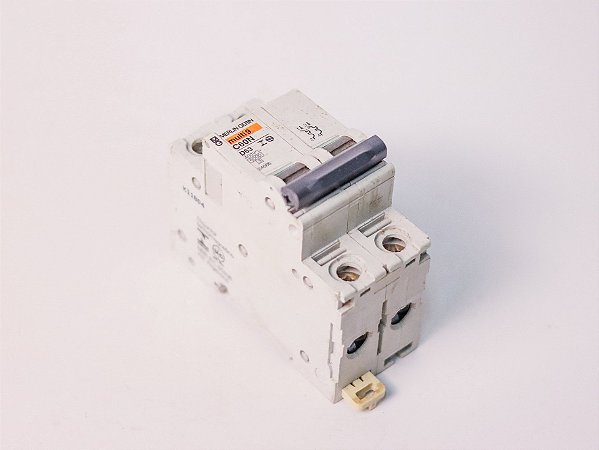 Disjuntor bipolar 63A curva D C60N 24666 Schneider Electric Usado