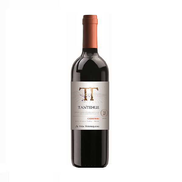 Vinho Tinto Chileno Ventisquero Tantehue Carménère 750ml