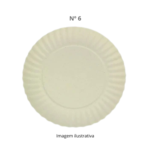 Prato de Papelão Natural nº 06