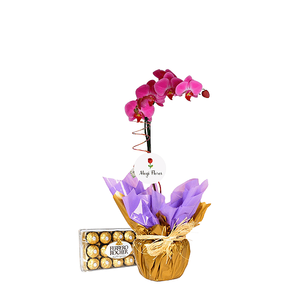 Orquídea Grande Pink com Ferrero Rocher