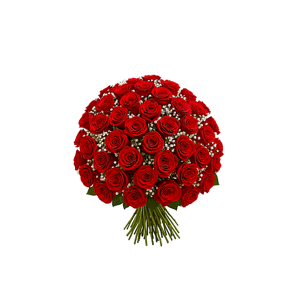Super Buquê 100 Rosas Vermelhas