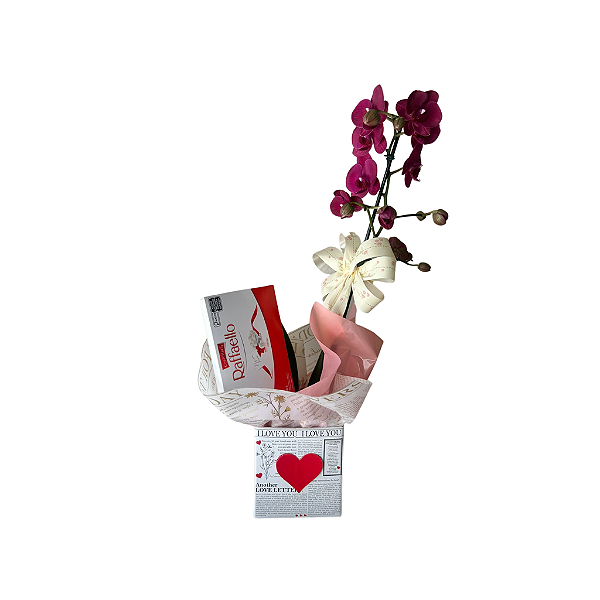 Orquídea com Chocolate Rafaello