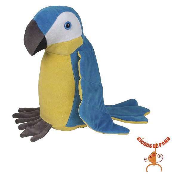 Arara Canindé - P