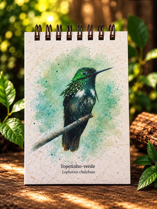 Diário da Floresta M - Topetinho-verde