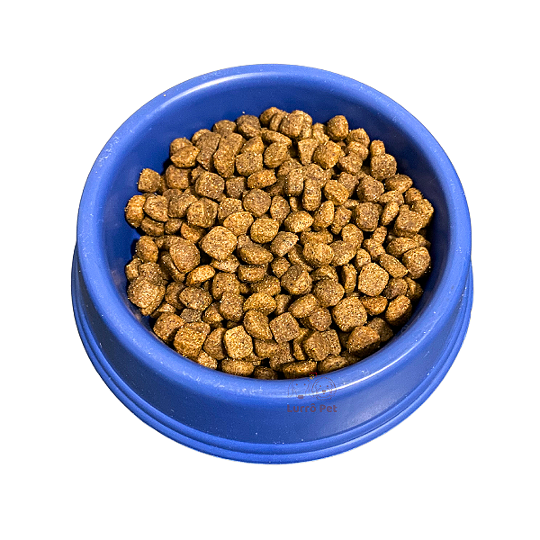 Comedouro de Ração Para Gato Cachorro Coelho Pet Sortido 200ml Pequeno