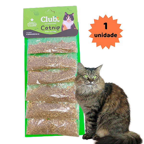 Catnip Erva para Gatos Pet 1 Unidade 2g