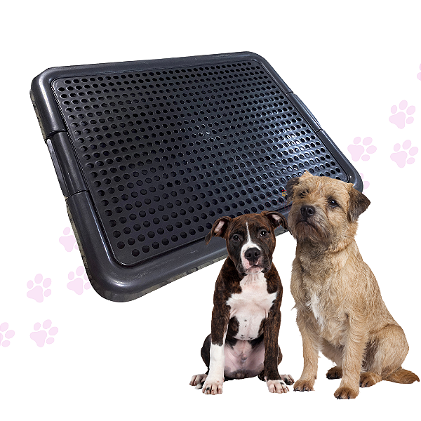 Sanitário Preto para Pet Cachorro Caixa para xix