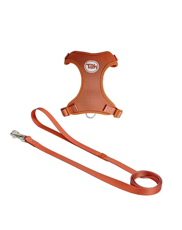 Conjunto Peitoral Neocomfy e Guia para Gatos Coral