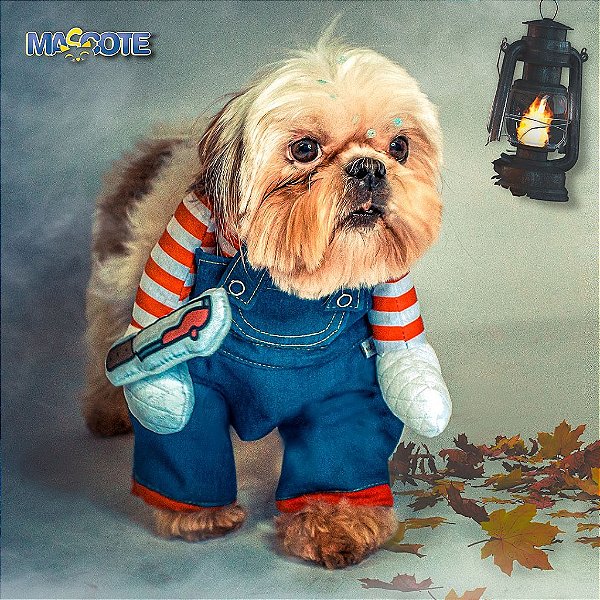 Roupa Chuck para pet tamanhos variados