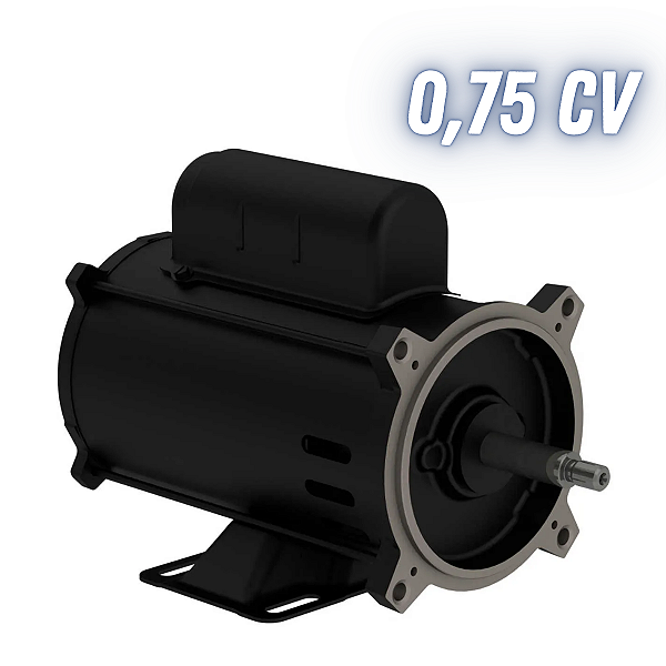 MOTOR PARA BOMBA DE PISCINA 3/4CV BIVOLT MONOFÁSICO W48J 110V/220V 0,75CV WEG