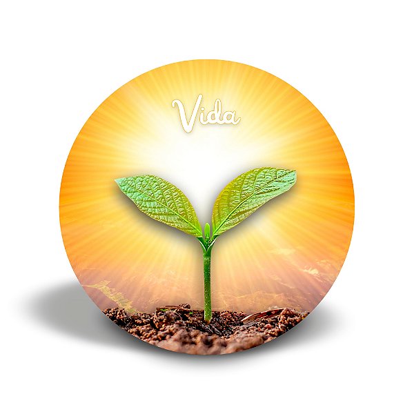 Mini quadro 3D - Linha Cultivar - Luz Radiante
