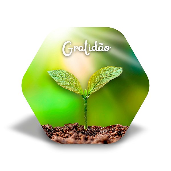 Mini quadro 3D - Linha Cultivar - Vi Verde Luz
