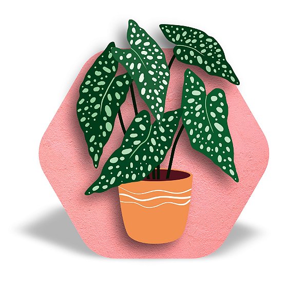 Mini Quadro 3D - Vaso de planta Begônia Maculata