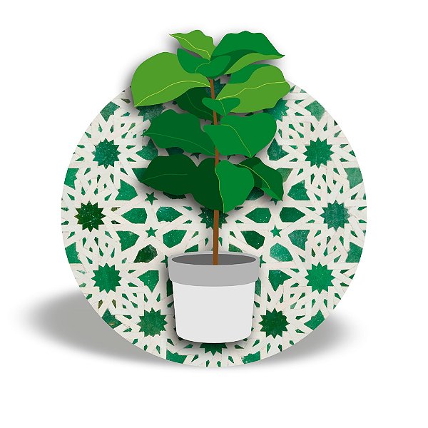 Mini Quadro 3D - Vaso de planta Ficus Lyrata