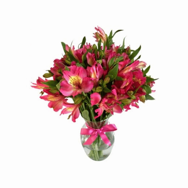 Beleza de Astromélias e Rosas no Vaso de Vidro