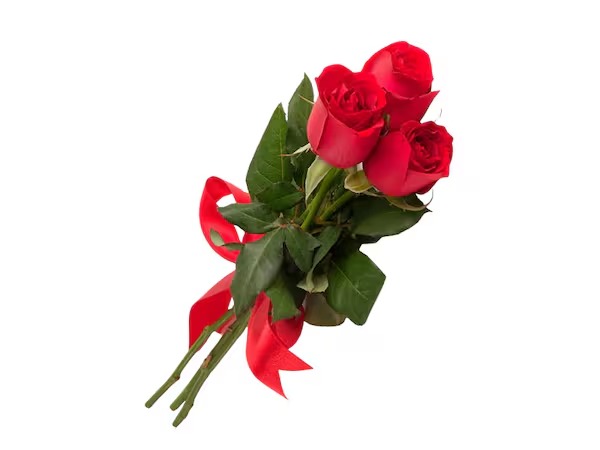 Um Mimo de 3 Rosas